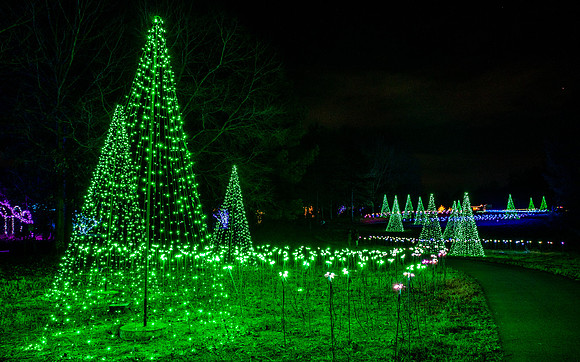 Christmas-2787