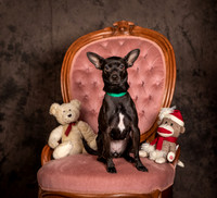 Foster Elvira-0181