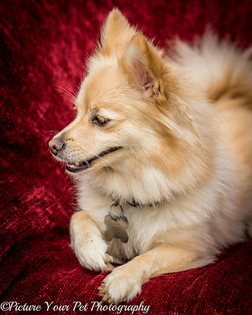 Foster Shirley-6118