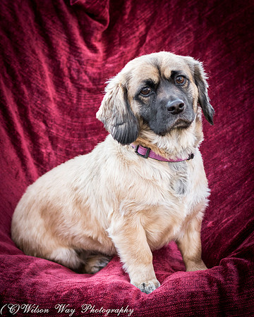 Foster Trudy-44