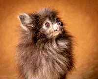 Foster Loretta-1255