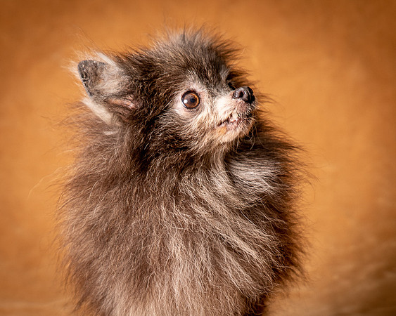 Foster Loretta-1255