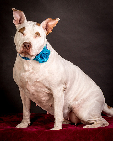Foster Joanie-0453