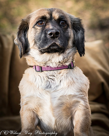Foster Trudy-8