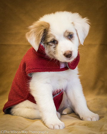 Foster Lisanna-0380