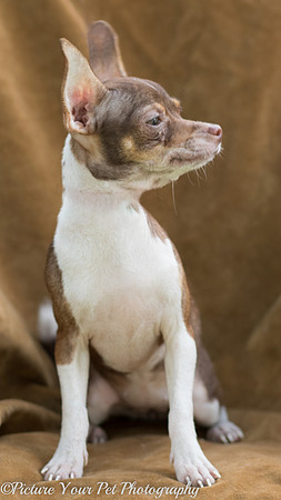 Foster Joanie-2