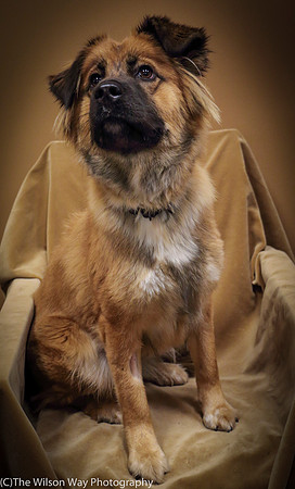 Foster Blair-0639