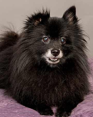 Foster Wayne-8299