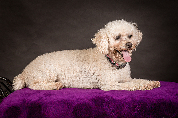 Foster Mae-8988