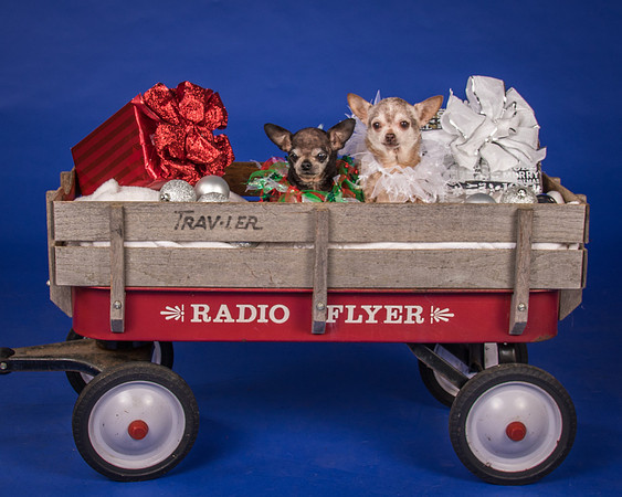 Caylor-Gretta and Priscilla-7941