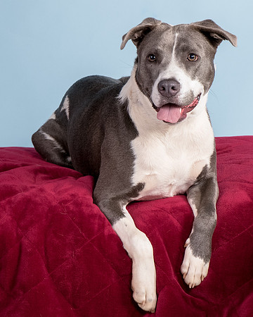 Foster Juliana-8114