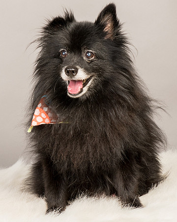 Foster Wayne-8042
