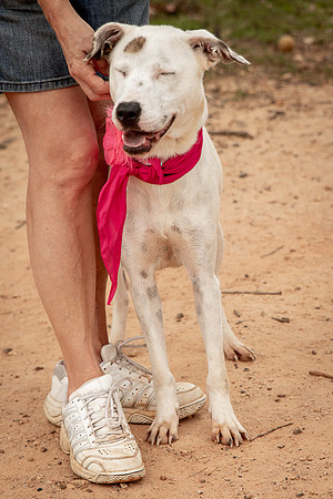 Carley-1183