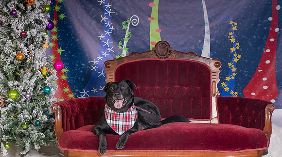 Foster Beatrice-3971