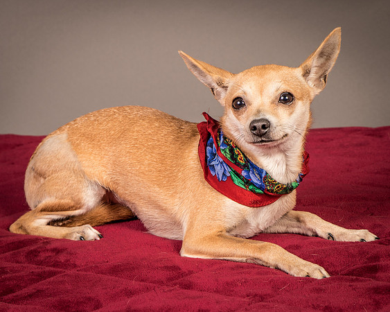 Foster Rosanna-3782
