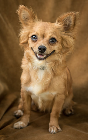 Foster Dolly-7729