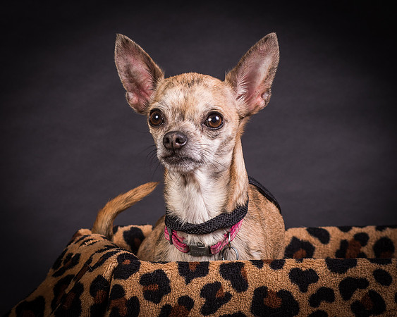 Foster Selina-1162