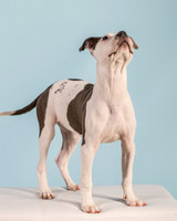 Foster Luna-4691
