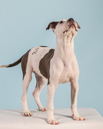 Foster Luna-4691