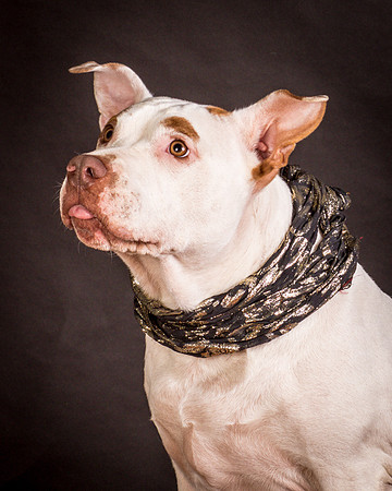 Foster Joanie-0434