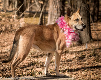 Foster Rita-2452