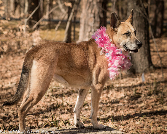 Foster Rita-2452