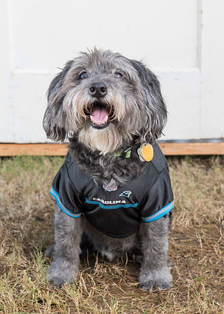 2015Oct24_6221