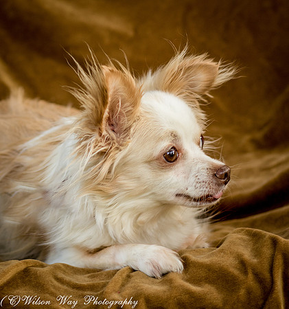 Foster Sam-4141