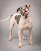 Foster Gretel-1376