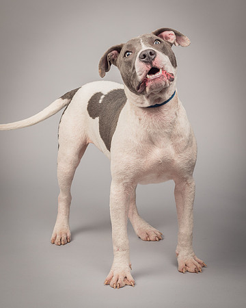 Foster Gretel-1376