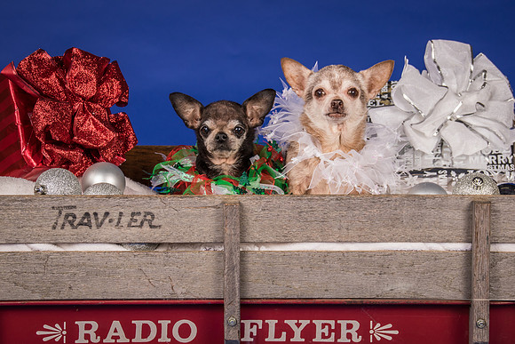 Caylor-Gretta and Priscilla-7952