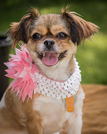 Foster Missy-0551