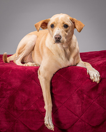 Foster June-3478