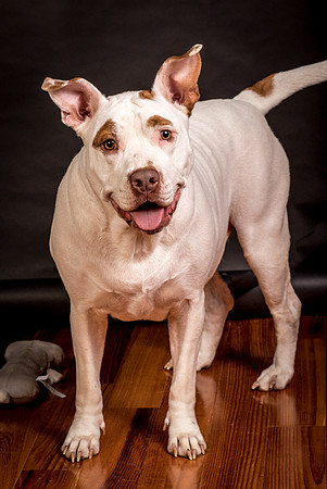 Foster Joanie-0607