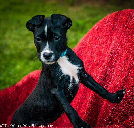 Foster Blythe-3956