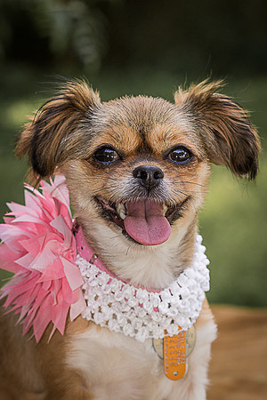 Foster Missy-0554