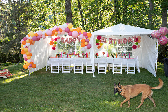 50th Birthday Party-8060