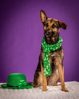 Izzy-2179