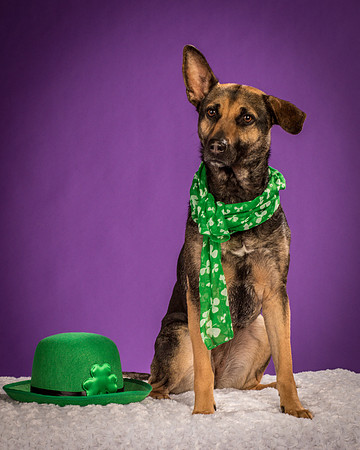 Izzy-2179