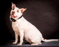Foster Joanie-0422