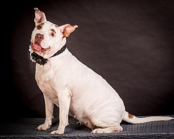 Foster Joanie-0422
