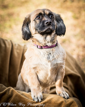 Foster Trudy-5