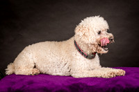 Foster Mae-8967