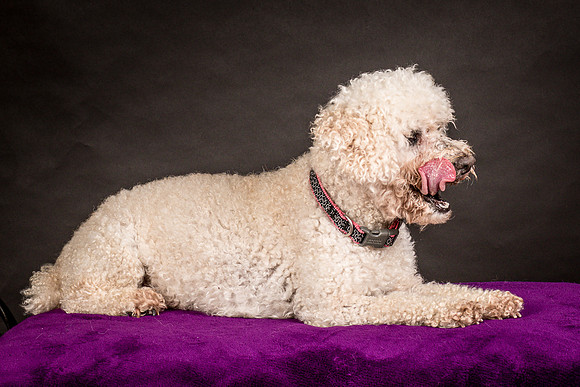 Foster Mae-8967