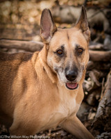 Foster Rita-2509
