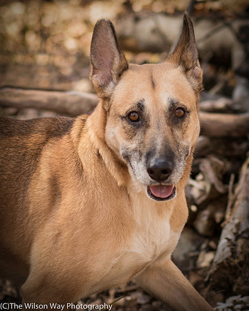 Foster Rita-2509