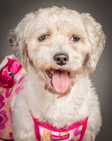 Foster Everly-2239