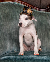 Foster Luna-4667