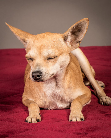 Foster Rosanna-3774