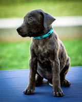 Foster Rigley-0057